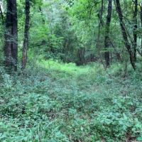 47.8 Acres in Jefferson County in Fayette  MS