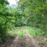 47.8 Acres in Jefferson County in Fayette  MS images 2