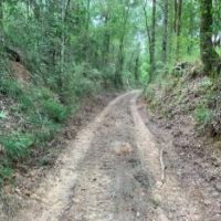 47.8 Acres in Jefferson County in Fayette  MS images 4