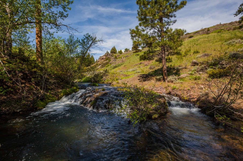 West Hound Creek Ranch featured image