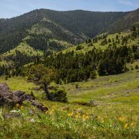 West Hound Creek Ranch images 2