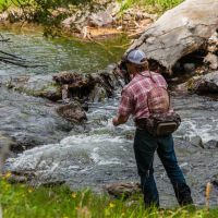 West Hound Creek Ranch images 4