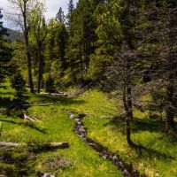 West Hound Creek Ranch images 6