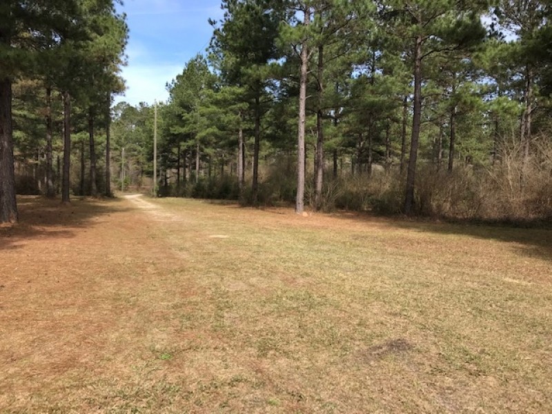 6 acres just outside town featured image