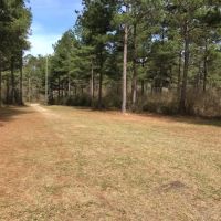 6 acres just outside town