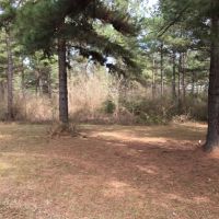 6 acres just outside town images 3