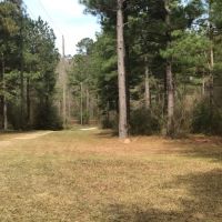 6 acres just outside town images 4
