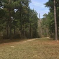 6 acres just outside town images 5