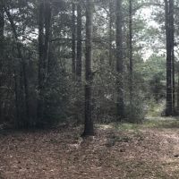 6 acres just outside town images 6