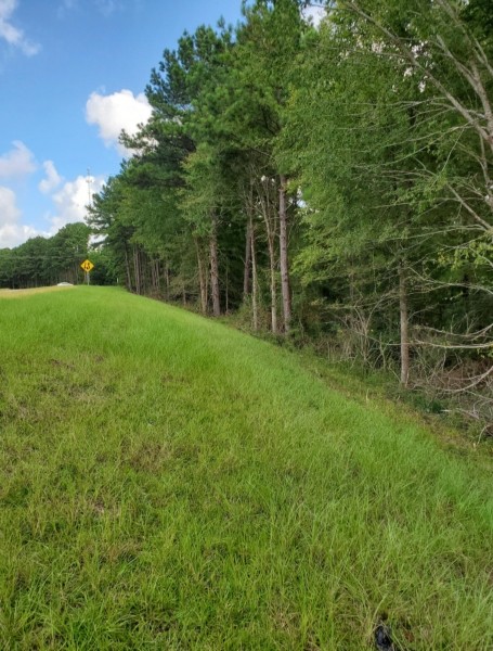 23.4 Acres in Franklin County in Bude  MS featured image