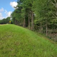 23.4 Acres in Franklin County in Bude  MS