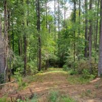 23.4 Acres in Franklin County in Bude  MS images 2