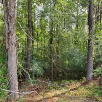 23.4 Acres in Franklin County in Bude  MS images 3
