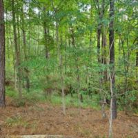 23.4 Acres in Franklin County in Bude  MS images 4