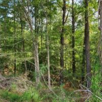 23.4 Acres in Franklin County in Bude  MS images 5