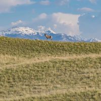 North Boulder River Ranch images 3