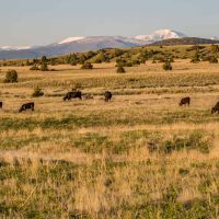 North Boulder River Ranch images 5