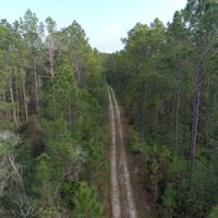 Clermont Ranch and Recreational Tract images 4
