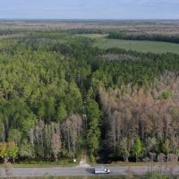Clermont Ranch and Recreational Tract images 5