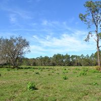 Clermont Ranch and Recreational Tract images 6