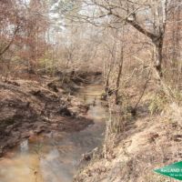 71.9 ac - Timberland for Recreation or Home Site near Nat l. Forest images 4