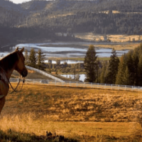 Black Rock Ranch images 2