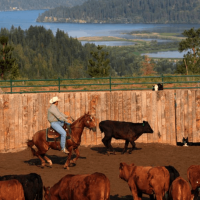 Black Rock Ranch images 4