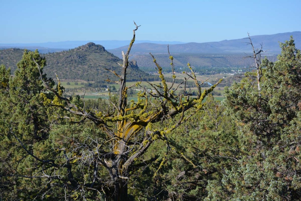 Dry Creek Hunting Reserve featured image