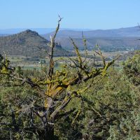 Dry Creek Hunting Reserve