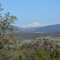Dry Creek Hunting Reserve images 2