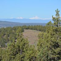 Dry Creek Hunting Reserve images 3
