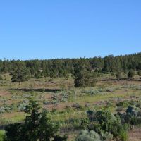 Dry Creek Hunting Reserve images 4