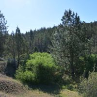Dry Creek Hunting Reserve images 5