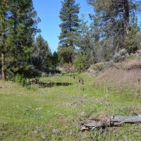 Dry Creek Hunting Reserve images 6
