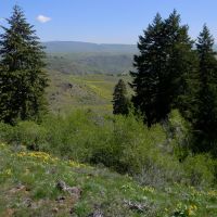Mann Creek Ranch images 2