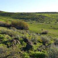 Mann Creek Ranch images 3