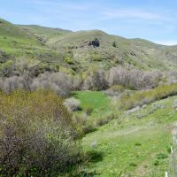 Mann Creek Ranch images 6