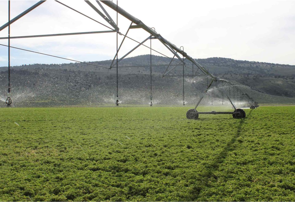Tor S Farms  LLC. featured image