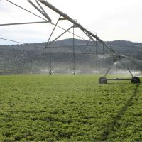 Tor S Farms  LLC.