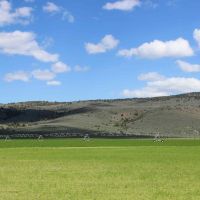Tor S Farms  LLC. images 3