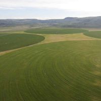 Tor S Farms  LLC. images 5