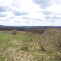 5 acres Cabin Building Site Smyrna NY images 5
