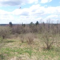 5 acres Cabin Building Site Smyrna NY images 6