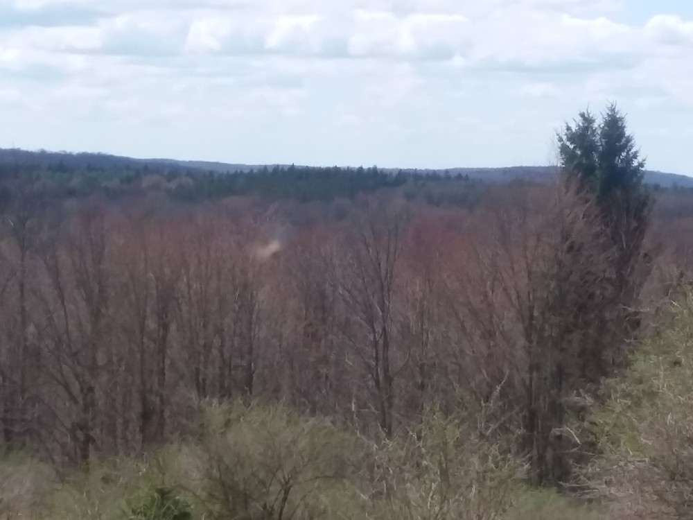 5 acres Cabin Building Site Smyrna NY featured image