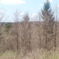5 acres Cabin Building Site Smyrna NY images 2