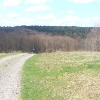 5 acres Cabin Building Site Smyrna NY images 3