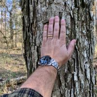 Pine Branch Timber and Hunting Investment images 3