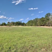 Pine Branch Timber and Hunting Investment
