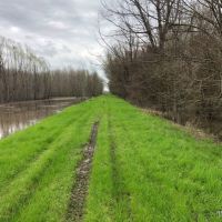 564 ac - Deer &nbsp; Duck Hunting with Camp Site - REDUCED images 2
