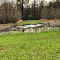 564 ac - Deer &nbsp; Duck Hunting with Camp Site - REDUCED images 3